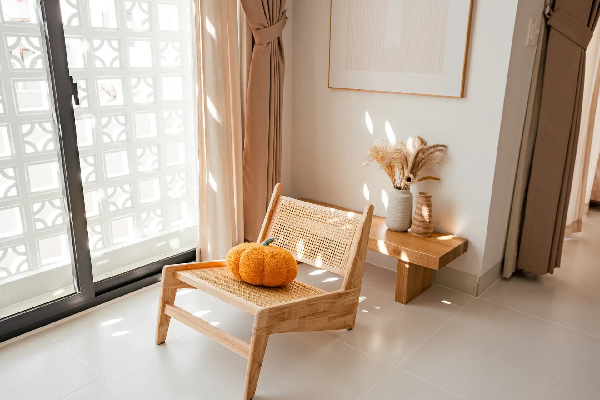 Nấm Hương - Ảnh 3
